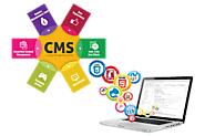 Dynamic Website Designing company in Delhi