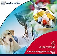 Veterinary Pharma Franchise Company | Veterinary PCD Franchise
