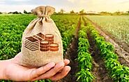 Can I get a bank guarantee against agricultural property -