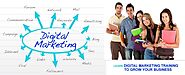 Best Digital Marketing Training in Delhi