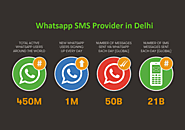 Whatsapp SMS Provider | Bulk Whatsapp SMS Service | My SMS Bazaar