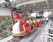 Quality Dragon Wagon Roller Coasters for Sale - Beston Roller Coaster Rides