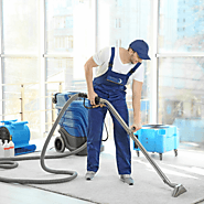 Professional Carpet Cleaning Perth, Carpet Steam Cleaner Perth