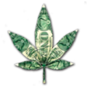 Writing Marijuana Dispensary Business Plan - What You Need to Know