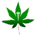 Medical Marijuana Business Plans - How to Develop an Effective One?