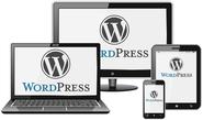 WORDPRESS DEVELOPER: A TECHIE TO FEATURE YOUR FUNCTIONALITY