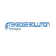 professional Rehab Staffing organizations in united states of america - TekEdge Solution, Inc.