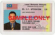 Malaysian driver licence translation