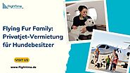 Flying Fur Family: Privatjet-Vermietung für Hundebesitzer