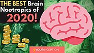 Hack Your Brain With BEST Nootropics of 2020 - GET On The TOP!