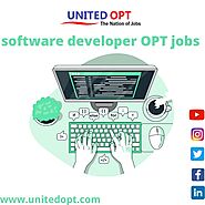 Get the software developer OPT job anywhere in the Florida