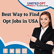 Best Way to Find Opt Jobs in USA