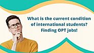 What is the current condition of international students? Finding OPT jobs! | unitedopt