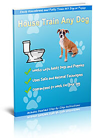 Learn the Secrets to Completely Potty Train Any Dog or Puppy Quickly and Easily in 7 Days or Less...
