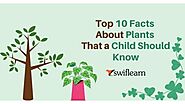 Top 10 Facts About Plants that a Child Should Know | Swiflearn