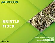 Get the super-washed and sustainable solution of coconut coir substrate from RIOCOCCO