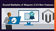 Highlight Features of Magneto 2.3.5