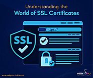 Understanding the World of SSL Certificates