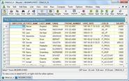 AQT - Advanced Query Tool
