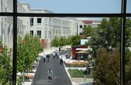 An International CEO's Guide to Silicon Valley