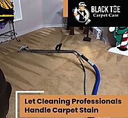 Need For Professional Residential Carpet Cleaning Solutions