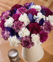 Damson Delight XL | Carnations By Post | Bunches.co.uk