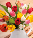 Spring Tulips | Send Tulip Bouquets By Post | Bunches.co.uk