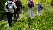 GoBackpacking