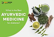 This is Why Diabetes Treatment in Ayurveda is The Safest Way to Go For