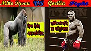 Mike tyson vs gorilla fight | Miketyson vs Gorilla Fight | who wins the match| mike tyson vs muhamme