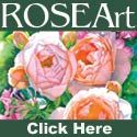 Mildew on Rose Leaves - Rose Magazine