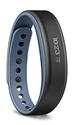 Garmin Vivosmart - Blue (Large)