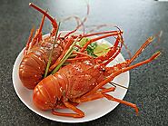 Maldivian Lobster