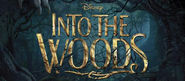 Get A Look Inside Disney's Into The Woods