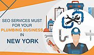 HOW BEST SEO COMPANIES FOR PLUMBER IN NEW YORK DRIVE RESULTS?
