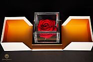 Luxury Showcase Real Preserved Rose (Single) | Empress Flora