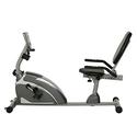 Exerpeutic 900XL Extended Capacity Recumbent Bike with Pulse