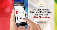 Add success to your business cart with the robust eBay Clone solution