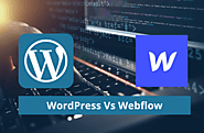 WordPress Vs Webflow Comparison 2020 – Which Platform is Best for You?
