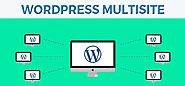 WordPress Multisite- Everything to Know from Definition to Implementation