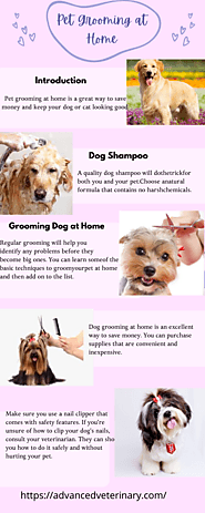 How to do Pet Grooming at your home