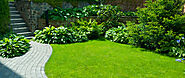 Remarkable Benefits of Professional Landscaping Services
