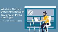 What Are The Key Differences Between WordPress Posts And Pages (5 Major Differences) – Telegraph
