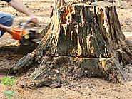 What is the fastest way to get rid of a tree stump?