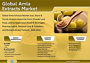 Global Amla Extracts Market Trends, Size, Competitive Analysis and Forecast 2020-2026