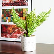 Artificial Plant in Ceramic Pot - 38 cms – Dukakeen.com