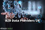 B2B Data Providers UK
