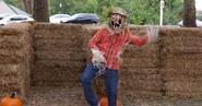 Funny Yet Terrifying Scarecrow Prank - Cactopia Viral Video, Photos, Quotes & Funny News