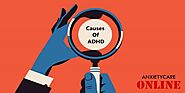 Causes Of ADHD | Attention Deficit Hyperactivity Disorder