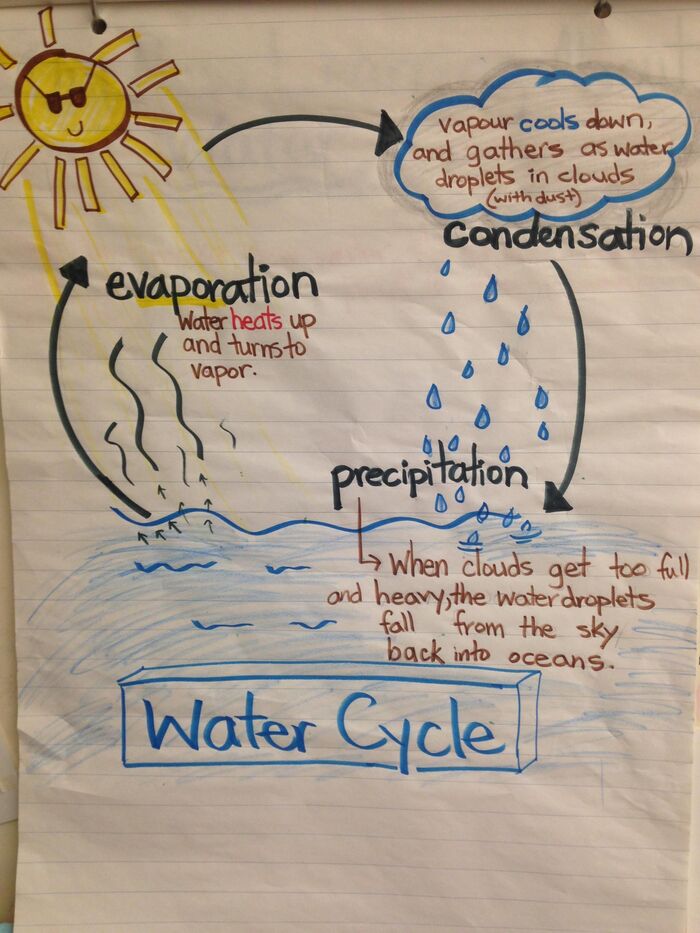 The Water Cycle | A Listly List